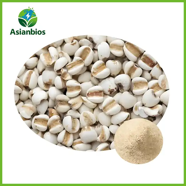 Coix Seed Powder